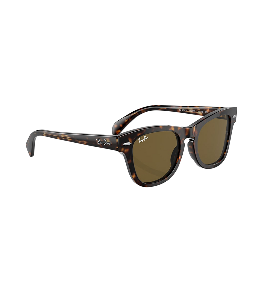 Sunglasses Brown