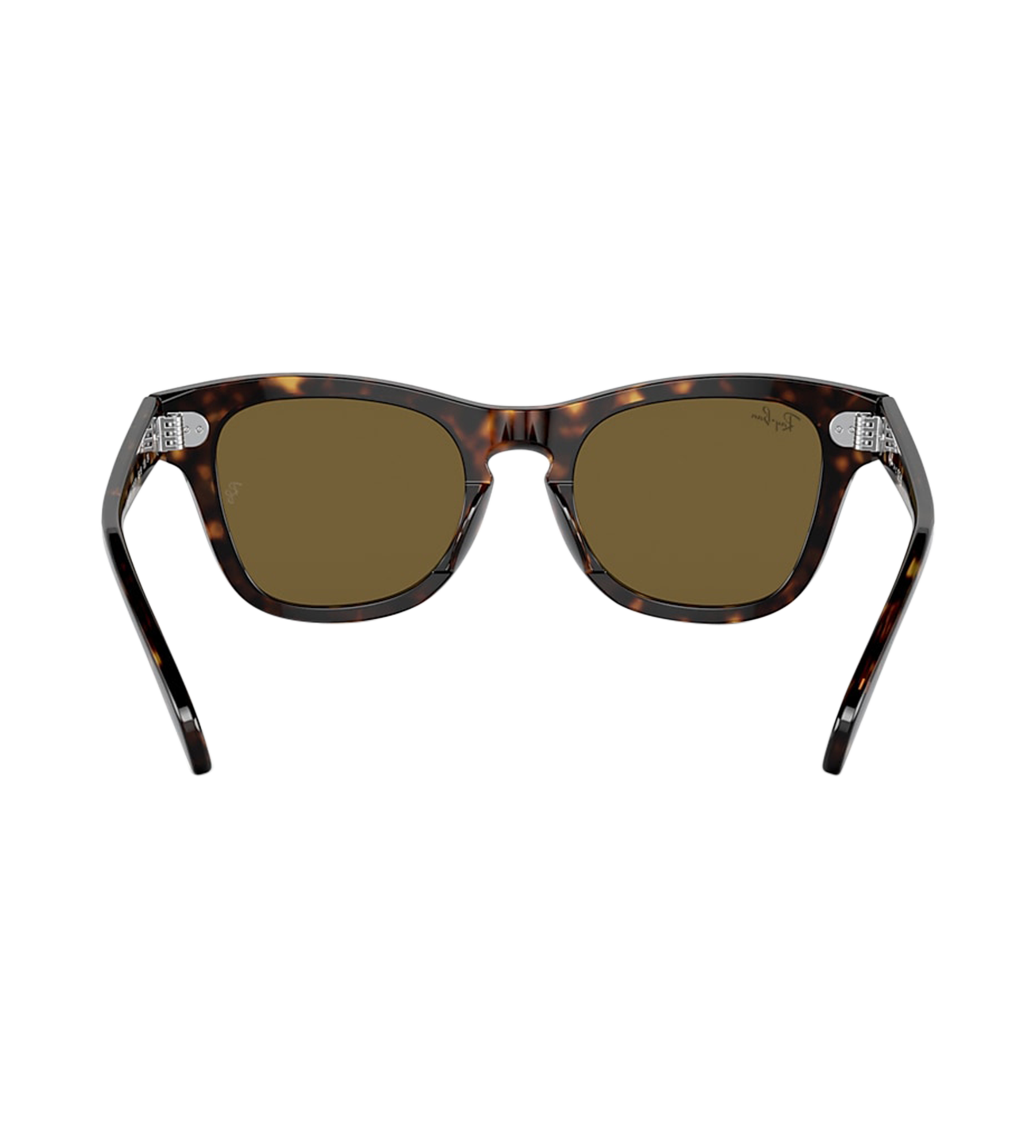 Sunglasses Brown