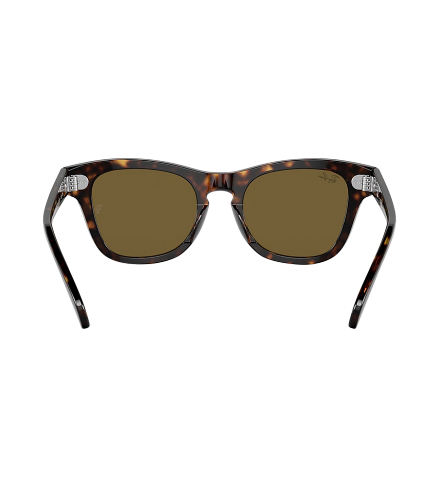 Sunglasses Brown