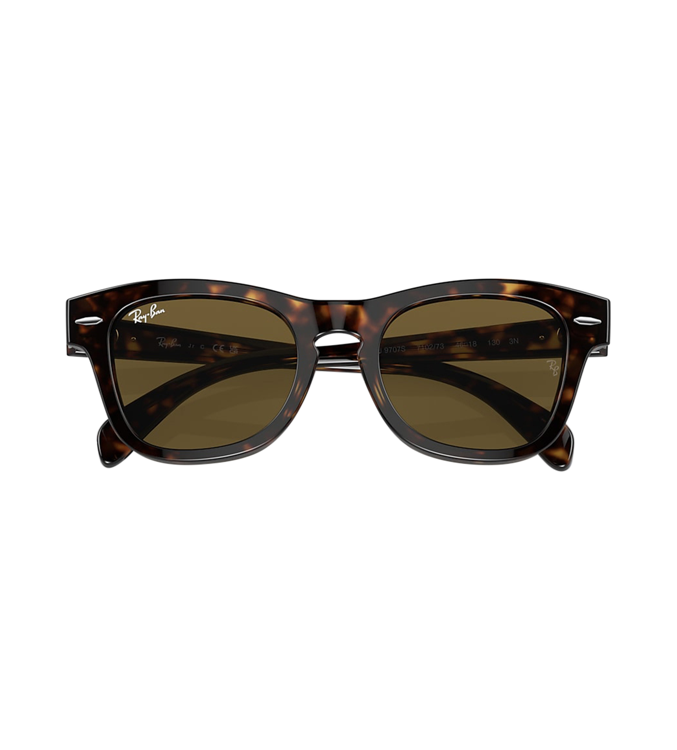 Sunglasses Brown