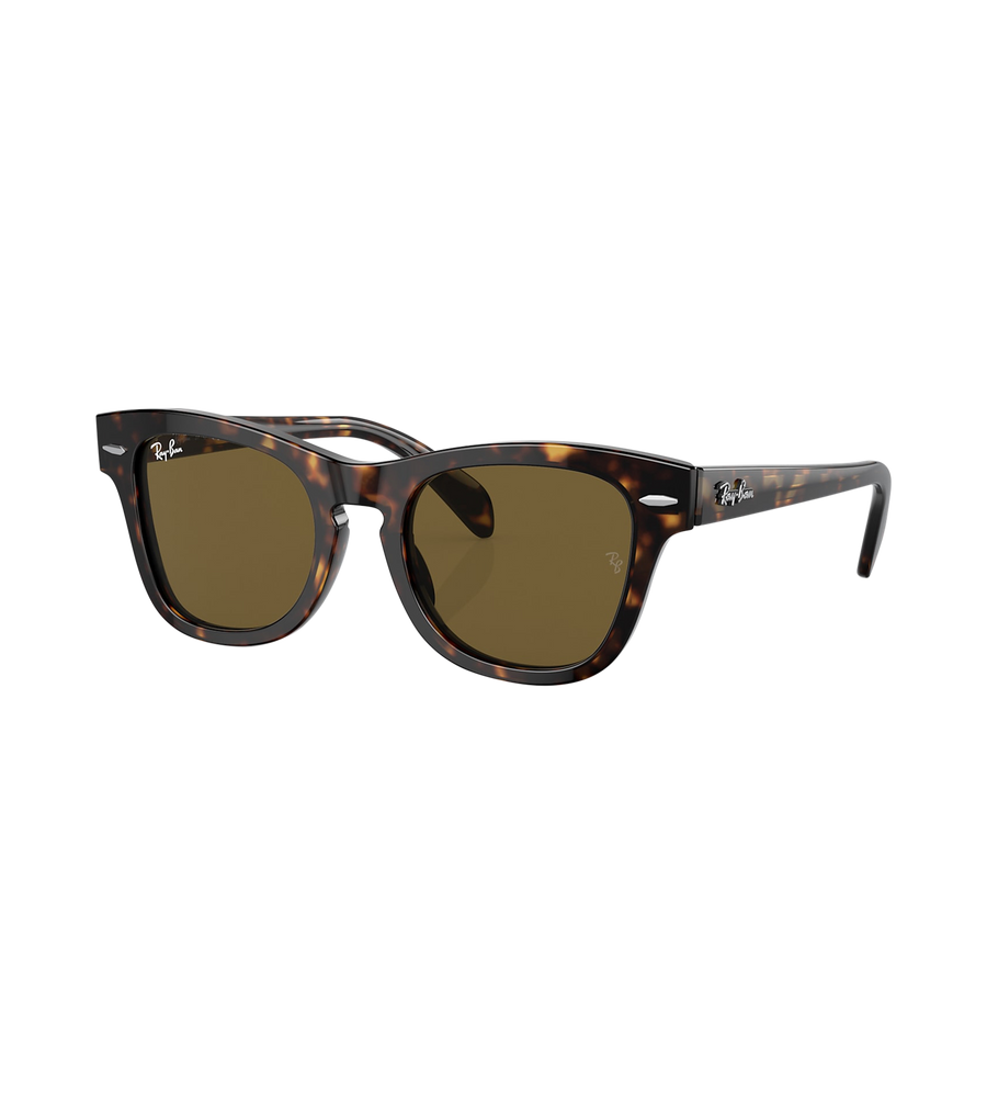 Sunglasses Brown