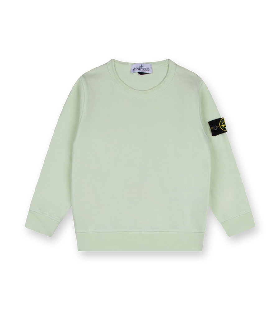 Compass-badge Sweatshirt Mint Green