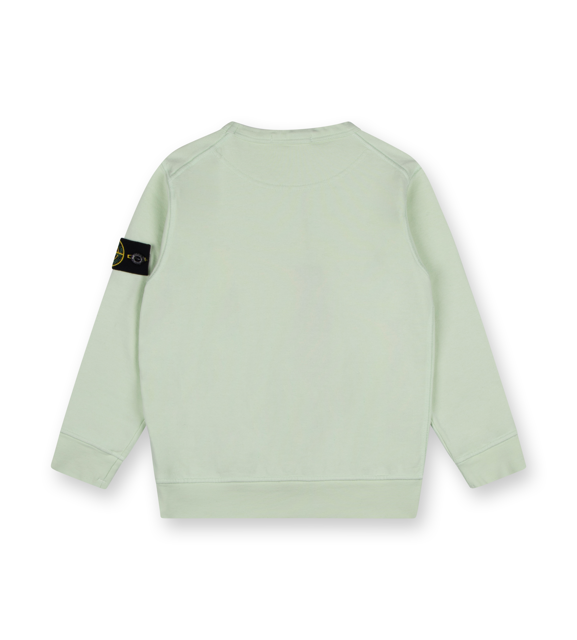 Compass-badge Sweatshirt Mint Green