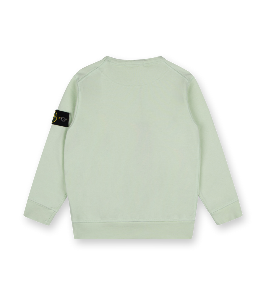 Compass-badge Sweatshirt Mint Green