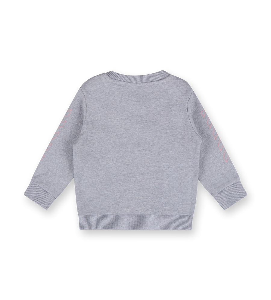 Bookish Diag Crewneck Grey Melange